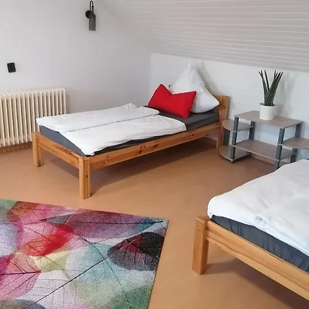 Apartament Cozy Near Frankfurt