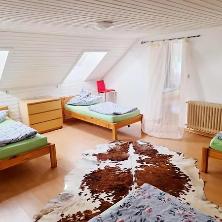 아파트 Cozy Near Frankfurt
