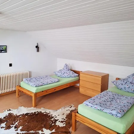 Cozy Near Frankfurt Niederdorfelden